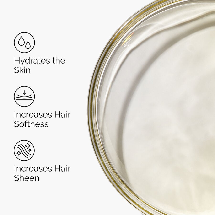 100% Organic Cold-Pressed Moroccan Argan Oil - US 2985
