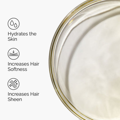100% Organic Cold-Pressed Moroccan Argan Oil - US 2985