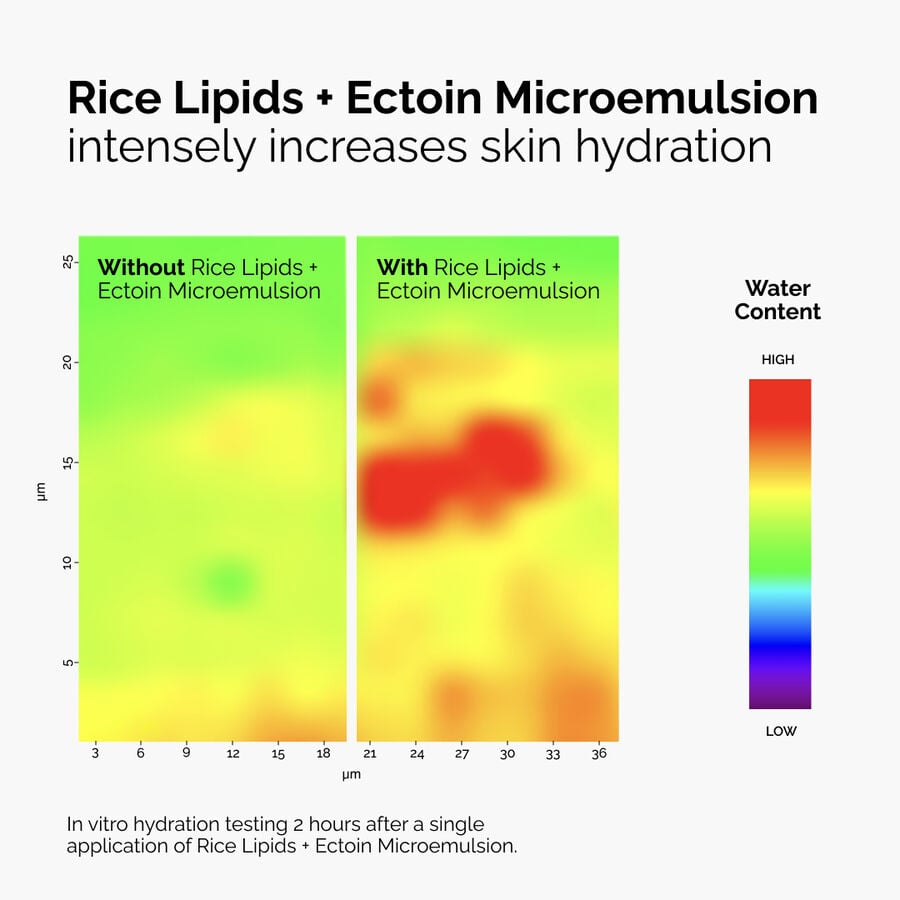 Rice Lipids + Ectoin Microemulsion - US 0834